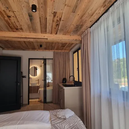 Apartski Tatry 자코파네